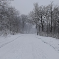 IMG_0505.jpg