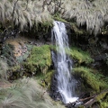 IMG_2694.jpg