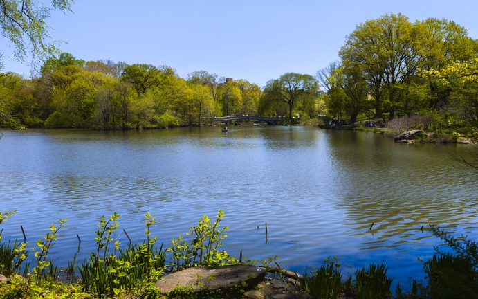 PXL 20240422 155951906.RAW-02.ORIGINAL-Enhanced-NR