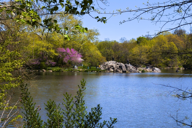 PXL 20240422 160142730.RAW-02.ORIGINAL-Enhanced-NR