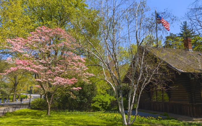 PXL 20240422 160931857.RAW-02.ORIGINAL-Enhanced-NR