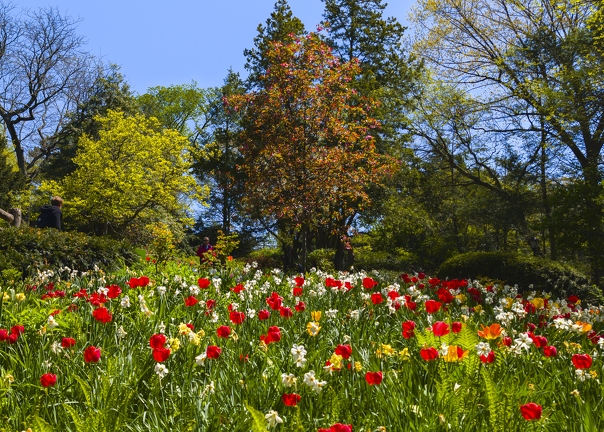 PXL 20240422 161059793.RAW-02.ORIGINAL-Enhanced-NR