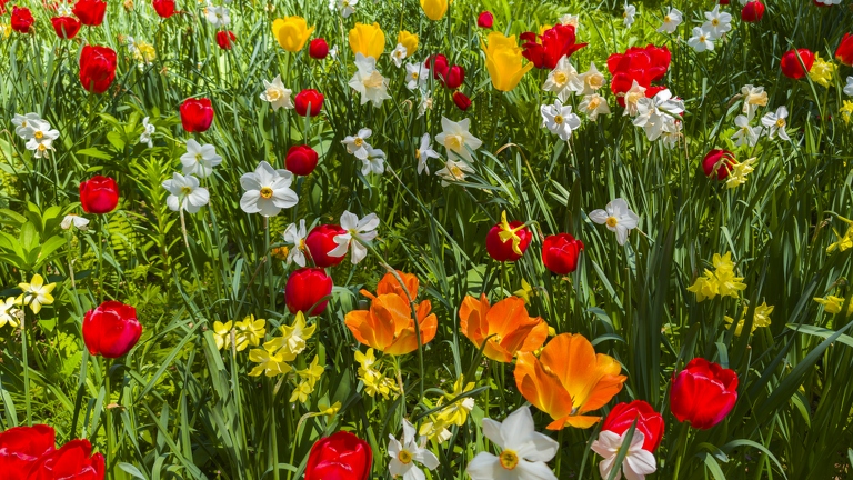 PXL 20240422 161136238.RAW-02.ORIGINAL-Enhanced-NR