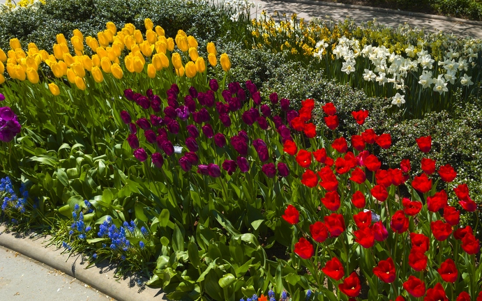 PXL 20240422 172659341.RAW-02.ORIGINAL-Enhanced-NR