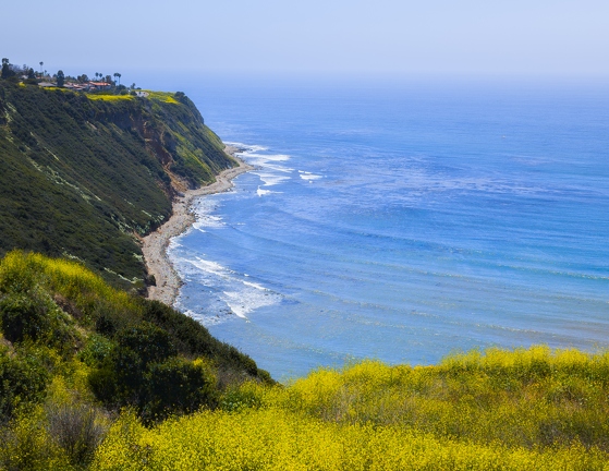 PXL 20240428 204220297.RAW-02.ORIGINAL-Enhanced-NR