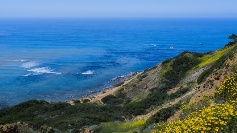 PXL 20240428 204437493.RAW-02.ORIGINAL-Enhanced-NR