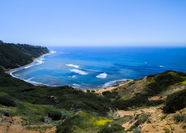 PXL 20240428 204612557.RAW-02.ORIGINAL-Enhanced-NR