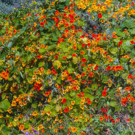 PXL 20240428 211033753.RAW-02.ORIGINAL-Enhanced-NR