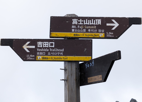 PXL 20240702 004055032.RAW-02.ORIGINAL-Enhanced-NR