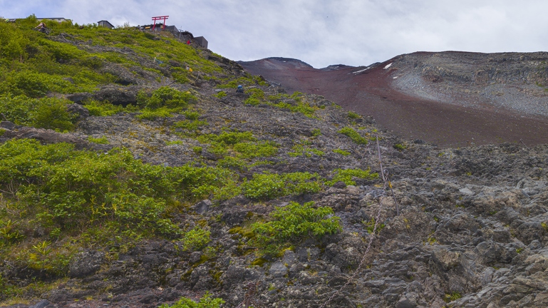 PXL 20240702 021248414.RAW-02.ORIGINAL-Enhanced-NR