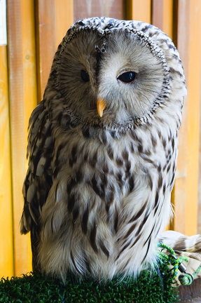 PXL 20240703 075902411.RAW-02.ORIGINAL-Enhanced-NR