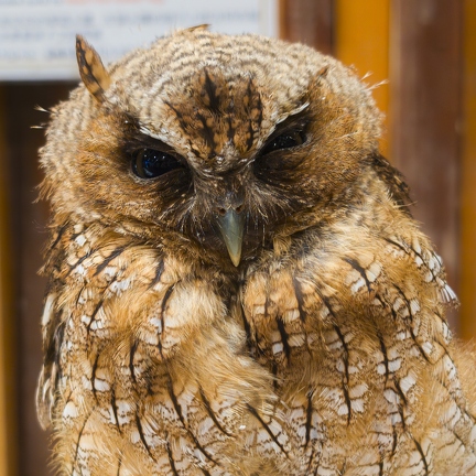 PXL 20240703 080105973.RAW-02.ORIGINAL-Enhanced-NR