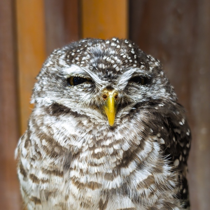 PXL 20240703 080111286.RAW-02.ORIGINAL-Enhanced-NR