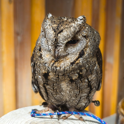 PXL 20240703 080117247.RAW-02.ORIGINAL-Enhanced-NR