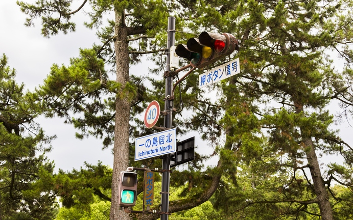 383A9025-Enhanced-NR