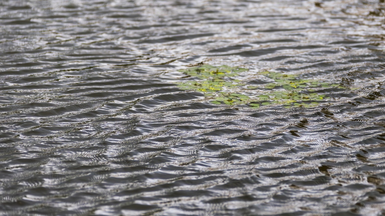 383A9072-Enhanced-NR