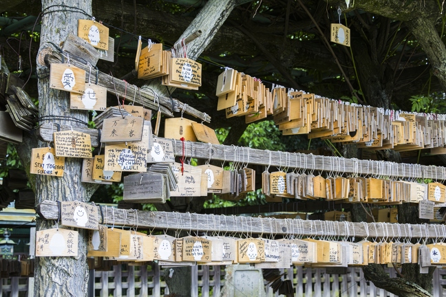 383A9129-Enhanced-NR