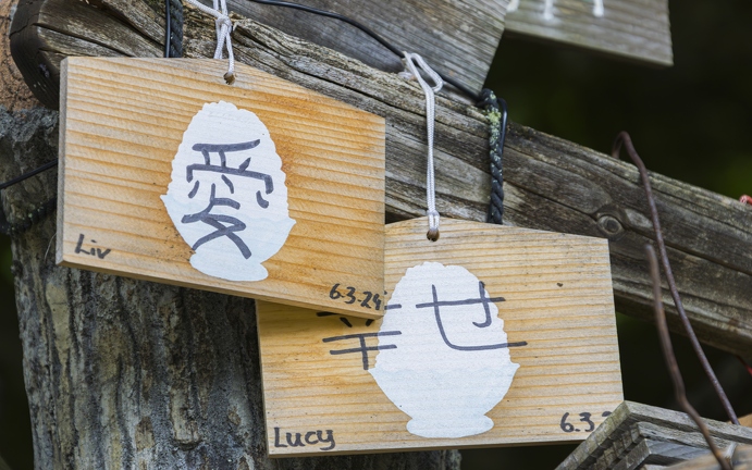 383A9133-Enhanced-NR