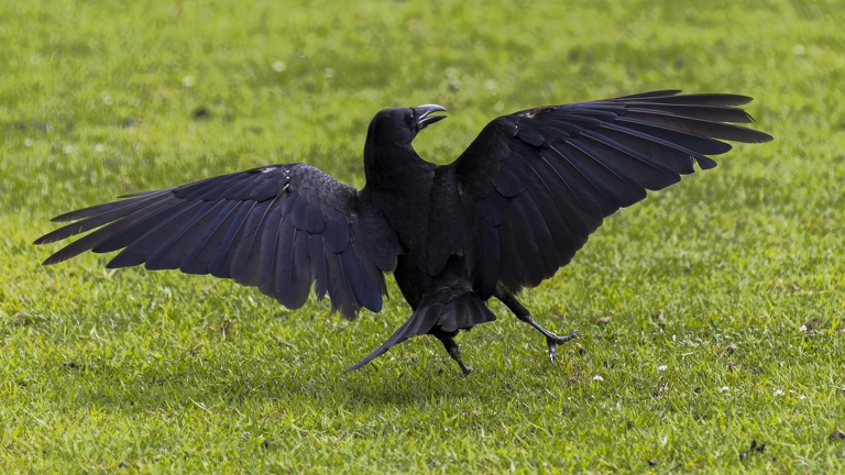 383A9206-Enhanced-NR