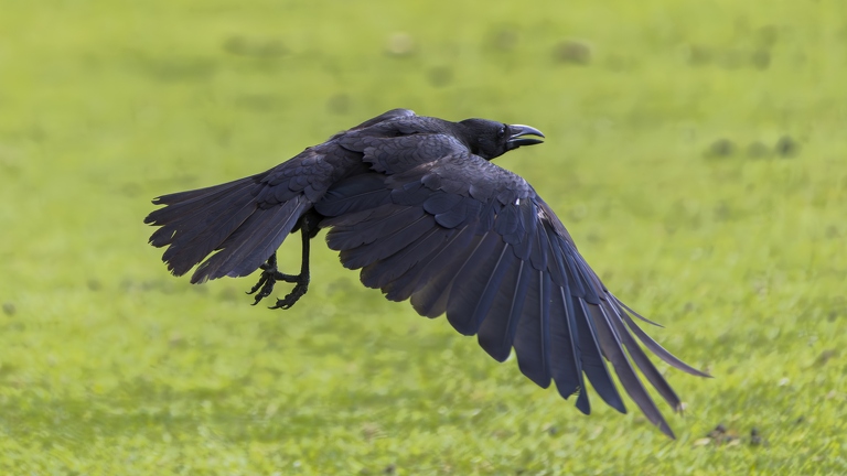 383A9211-Enhanced-NR