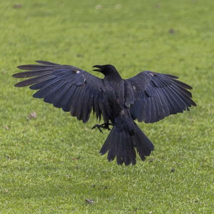 383A9220-Enhanced-NR