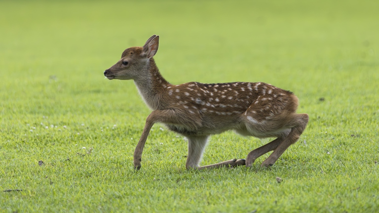 383A9257-Enhanced-NR