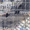 383A9551-Enhanced-NR.jpg