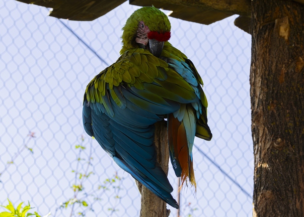 383A0195-Enhanced-NR