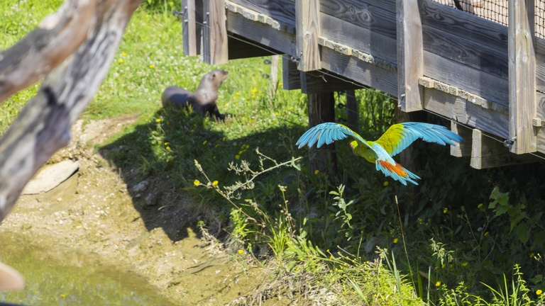 383A0238-Enhanced-NR