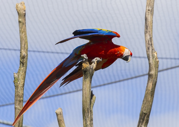 383A0274-Enhanced-NR