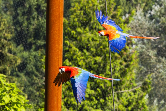 383A0298-Enhanced-NR