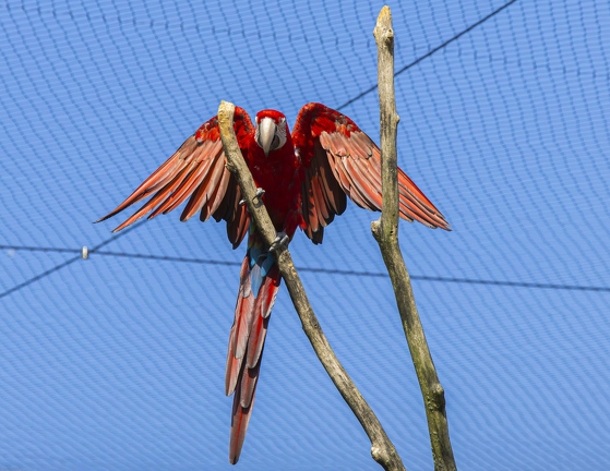 383A0324-Enhanced-NR