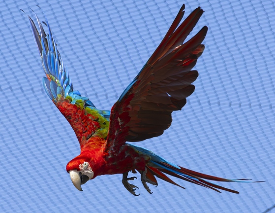 383A0337-Enhanced-NR