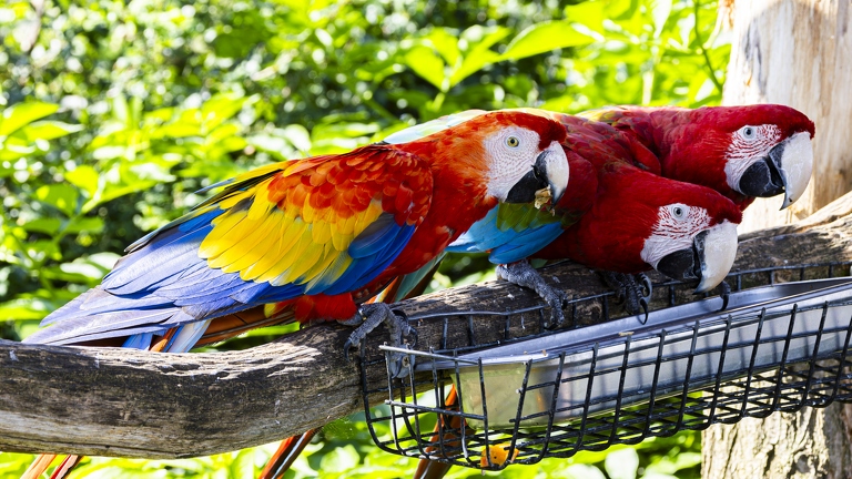 383A0350-Enhanced-NR