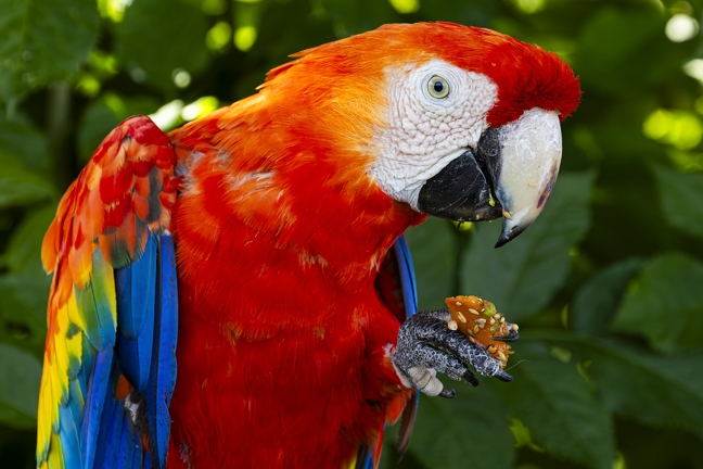 383A0367-Enhanced-NR