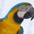 383A0385-Enhanced-NR.jpg