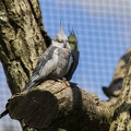 383A0883-Enhanced-NR.jpg