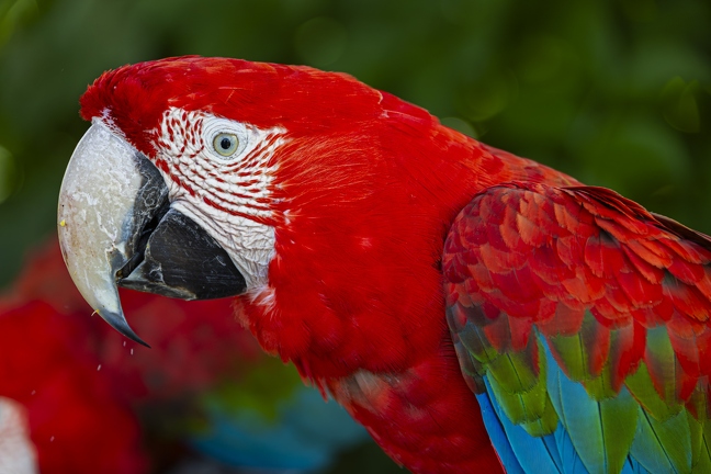 383A1025-Enhanced-NR