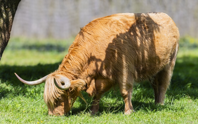 Parrot World | Zoo | 08AUG2024