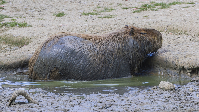 383A0927-Enhanced-NR