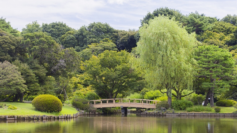 383A1168-Enhanced-NR