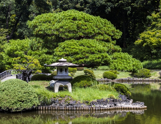 383A1178-Enhanced-NR