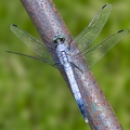 383A1208.jpg
