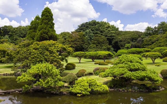 383A1247-Enhanced-NR