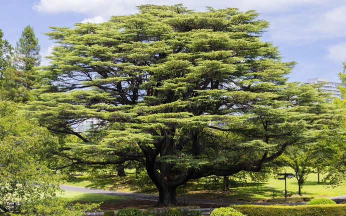 383A1277-Enhanced-NR