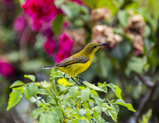 383A6371-Enhanced-NR