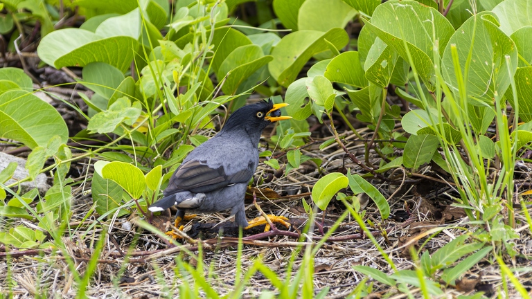 383A6407-Enhanced-NR