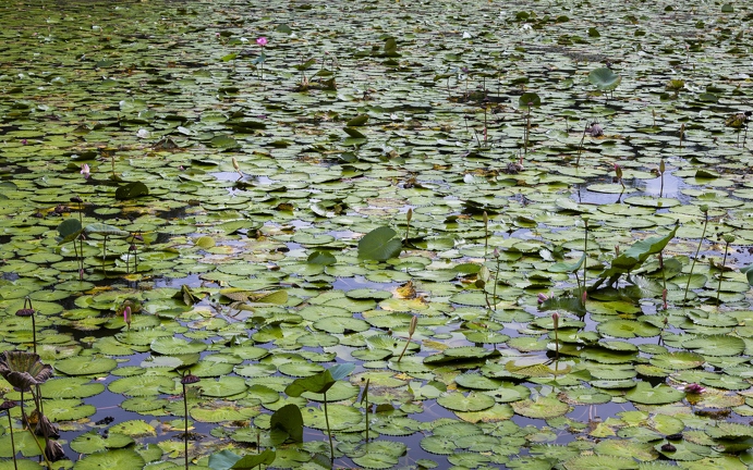 383A6503-Enhanced-NR