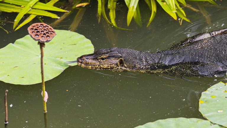 383A6524-Enhanced-NR