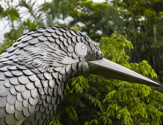 383A6580-Enhanced-NR